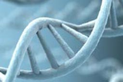 ddos在线攻击测试网站